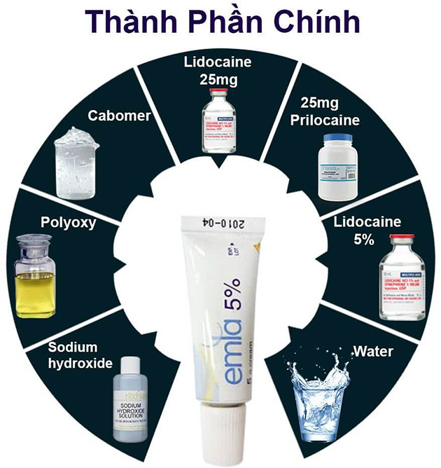 Thành phân gel bôi trơn emla 5%